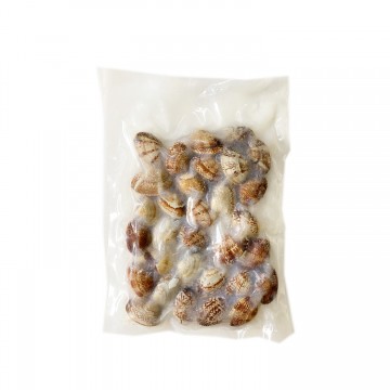 Frozen Asari Clam