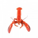 SEAFOOD