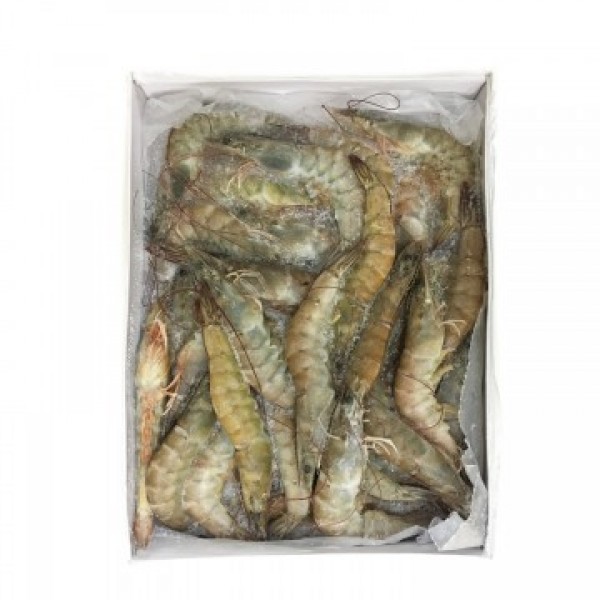 PRAWNS