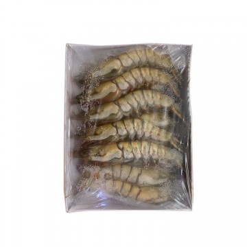 Tiger Prawn HOSO 13/15