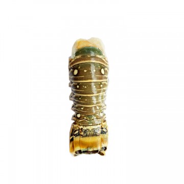 Rock Lobster Tail