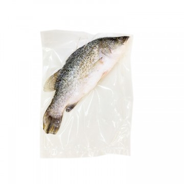 Fresh Frozen seabass